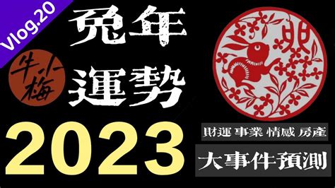 2025兔年運程1987|1987年属兔人2025年全年运势运程 87年属兔人2025年每月运势详。